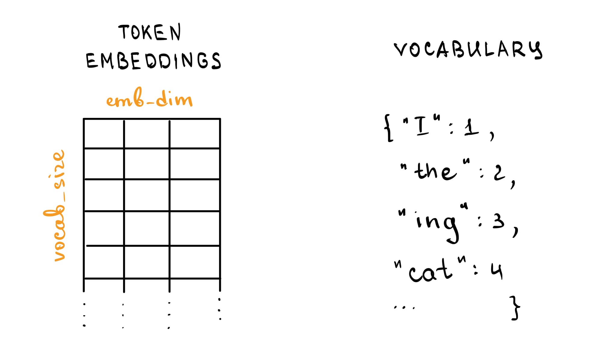 token embeddings